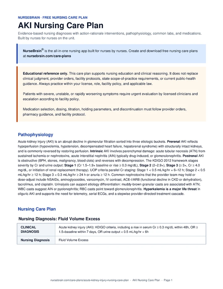 Acute Kidney Injury (AKI) Nursing Care Plan