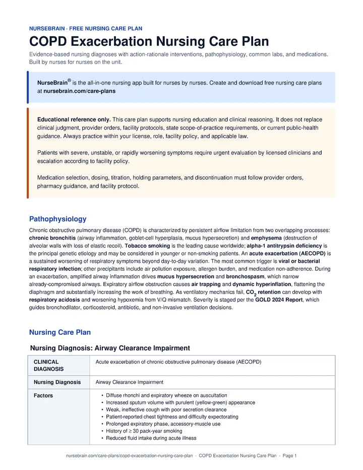 COPD Exacerbation Nursing Care Plan