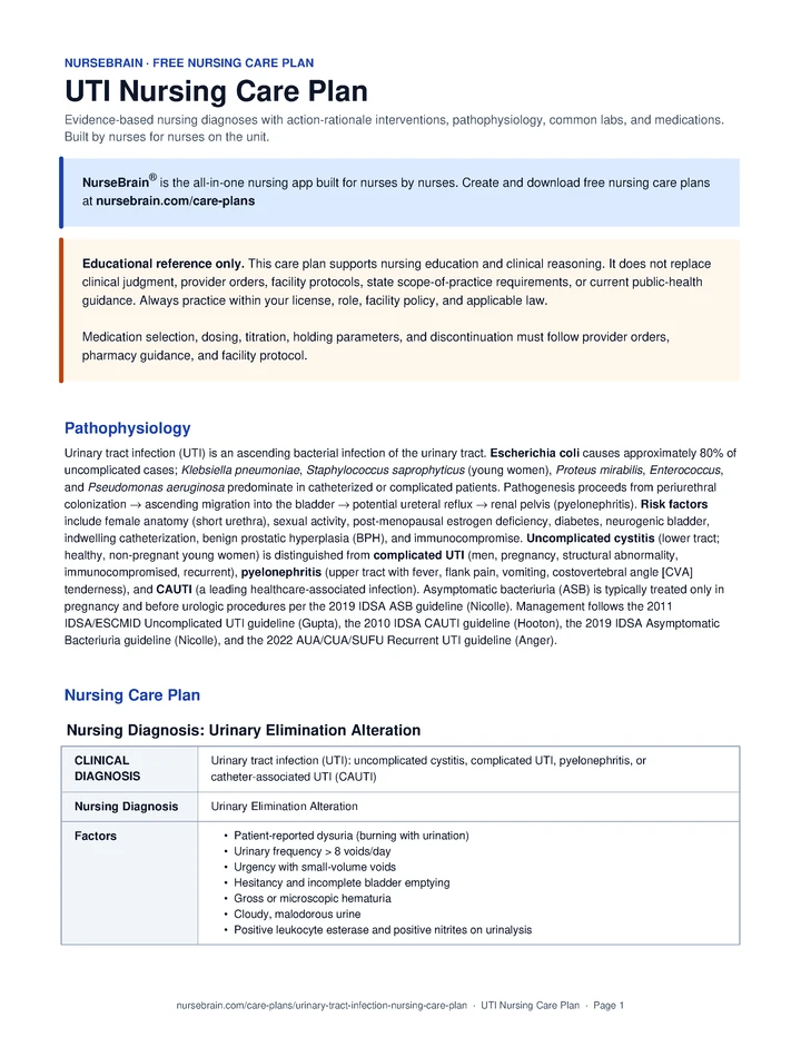 Urinary Tract Infection (UTI) Nursing Care Plan